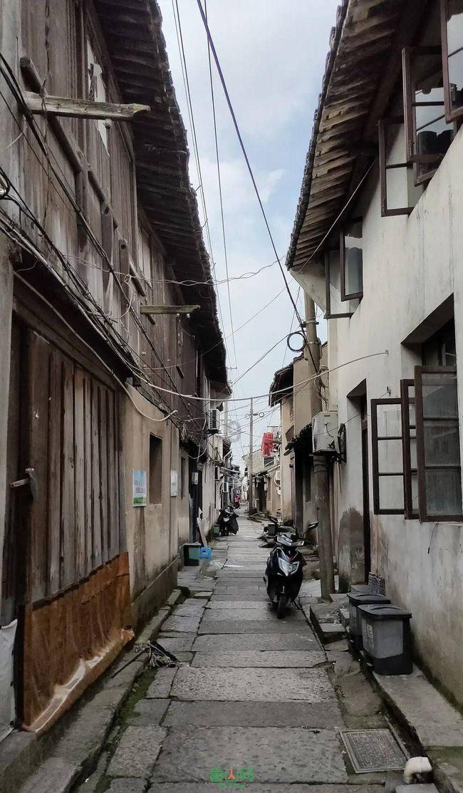 救援老画家